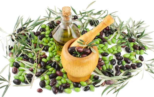 Vervaardiging van olijfolie — Stockfoto