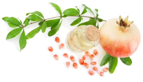 Pomegranate Seed Oil — Stock Photo, Image