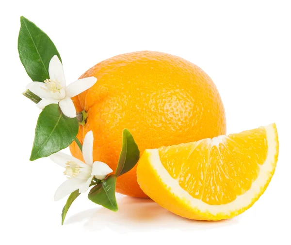 Orange mit Scheibe und Blüte — Stockfoto