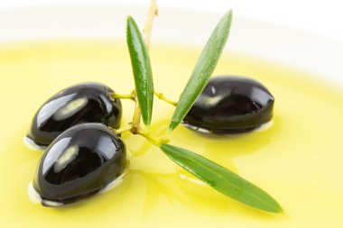 Zeytin ve zeytin yağı