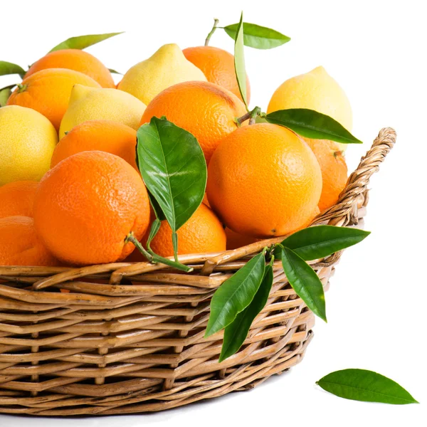 Orange and lemons — Stock Photo, Image