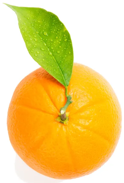 Orange i liść — Zdjęcie stockowe
