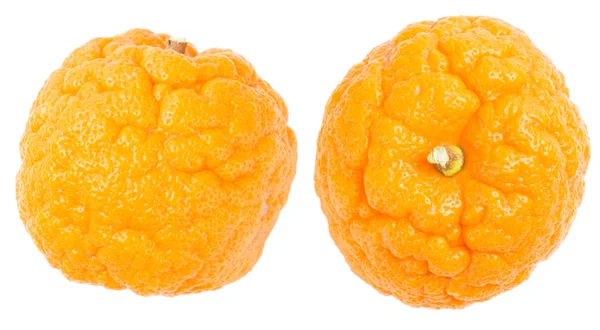 Orange cellulite peel — Stock Photo, Image