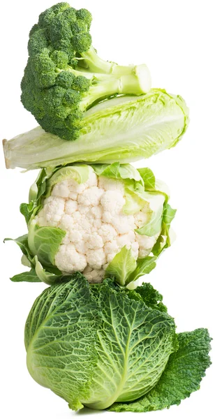 Fresh vegetables — Stock Photo, Image