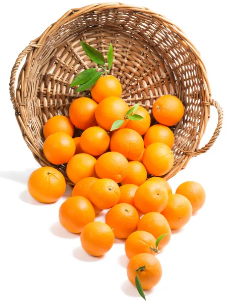 Orange — Stock Photo, Image