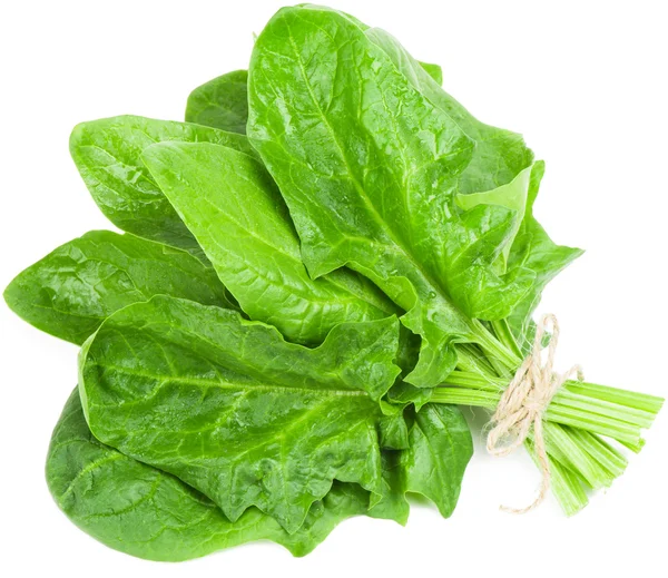Spinach leaves — Stock Photo, Image