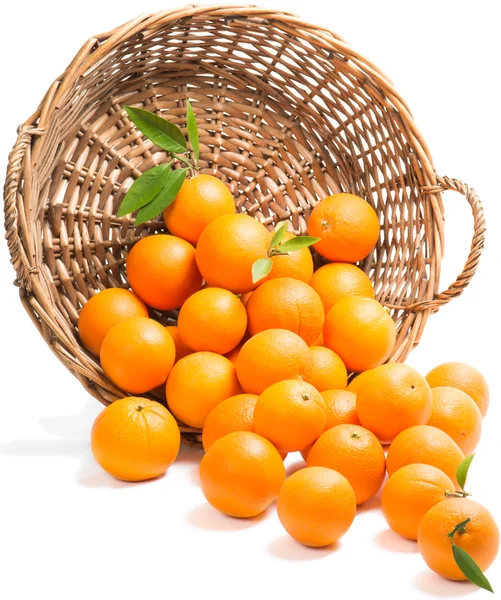 Oranges scattered — Stock Photo, Image