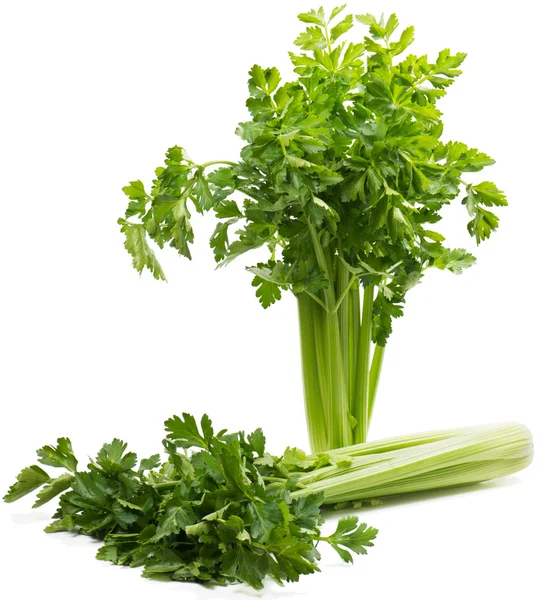 Celery (  Apium L. ) — Stock Photo, Image