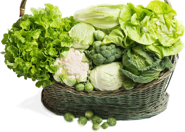 Different types of cabbage — Stock Photo, Image