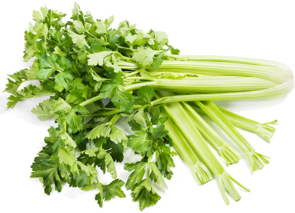Celer (Apium L. ) — Stock fotografie