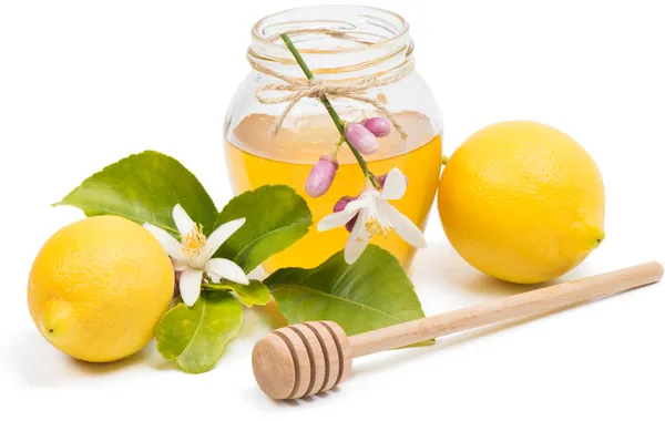 Honey from flowers of a lemon tree — Stock Photo, Image