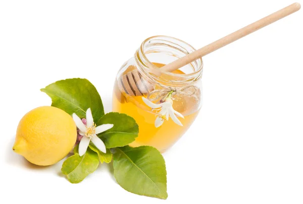 Honig aus den Blüten einer Zitrone — Stockfoto