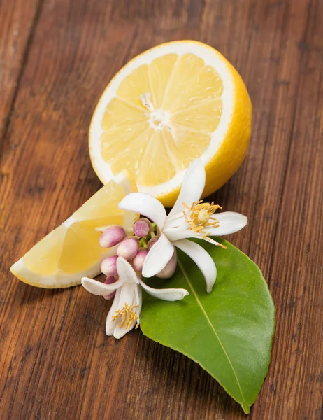 Citron och blomma — Stockfoto