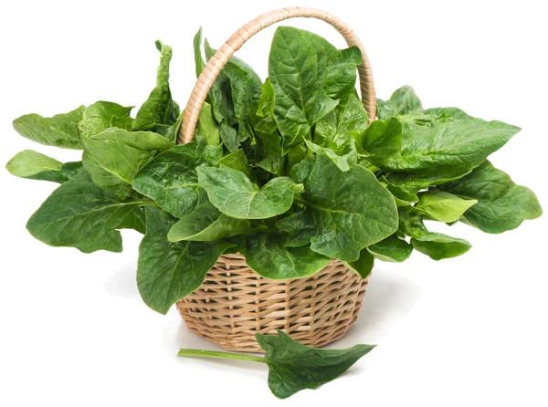 Spinach — Stock Photo, Image