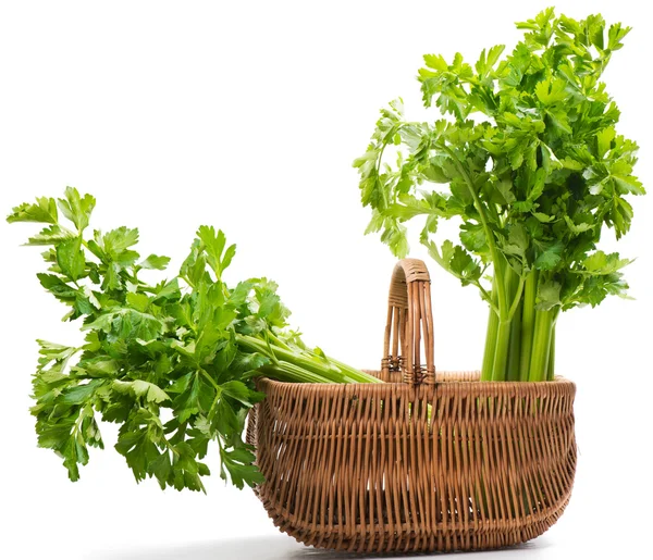 Celery in basket — Stock Photo, Image