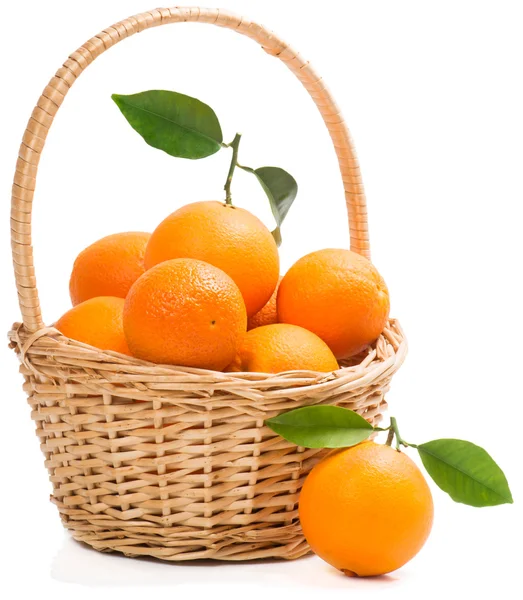 Basket full of ripe sweet oranges. — Stock Photo, Image