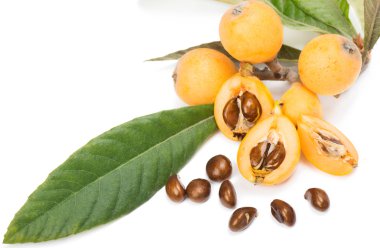 yenidünya meyve (eriobotrya japonica l.)