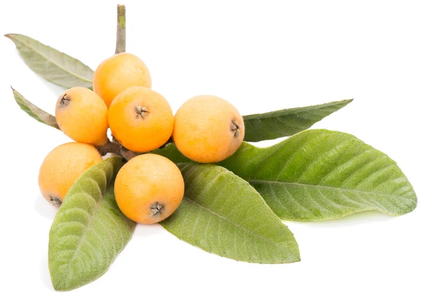 Loquat frukt — Stockfoto