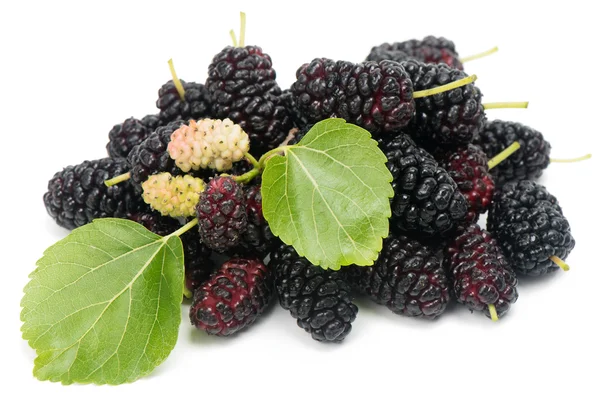 Früchte der schwarzen Maulbeere (morus nigra l.). — Stockfoto
