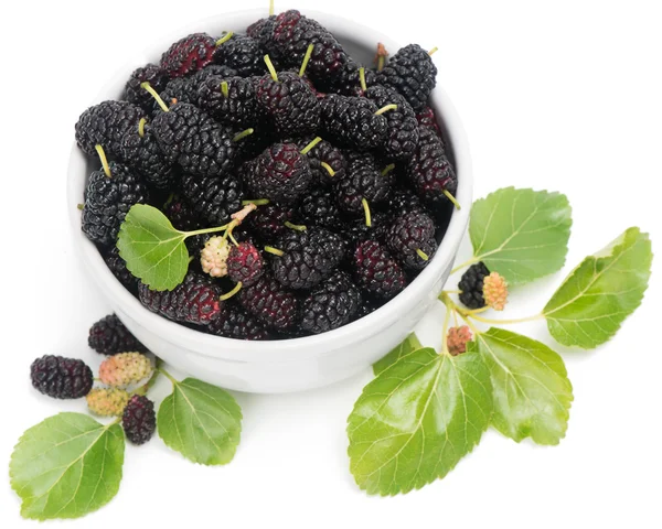 Schwarze Maulbeeren mit Blättern in weißer Schale — Stockfoto