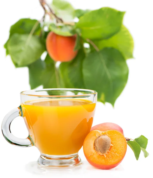 Fresh apricot drink — Stock Photo, Image