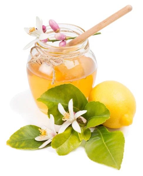 Lemon honey — Stock Photo, Image