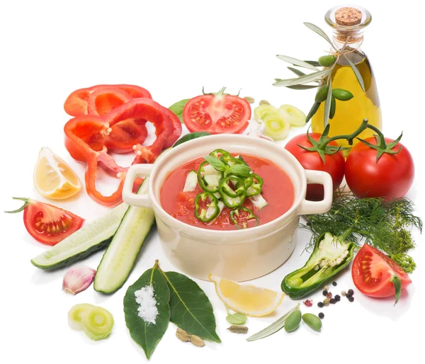 Kom voor gazpacho met tomaten, olijfolie en diverse groenten — Stockfoto