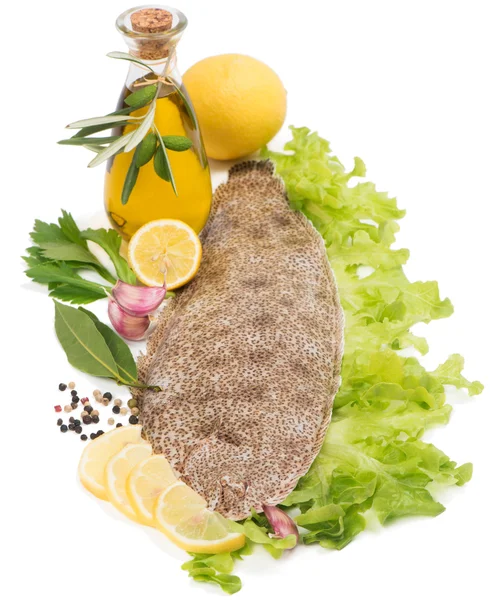 Surowe ryby soli zwyczajnej z przyprawami, cytryny i oliwy z oliwek — Zdjęcie stockowe
