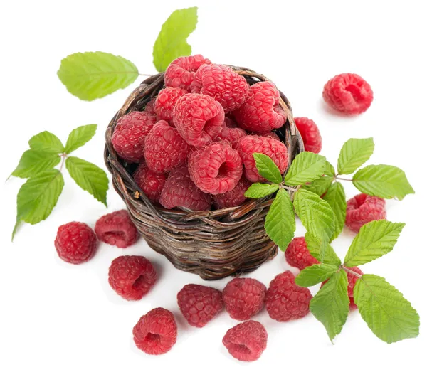 View from above of   basket with fresh raspberries — Stock Photo, Image