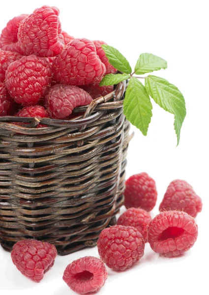 新鲜采摘的树莓在编织的篮子里 — 图库照片