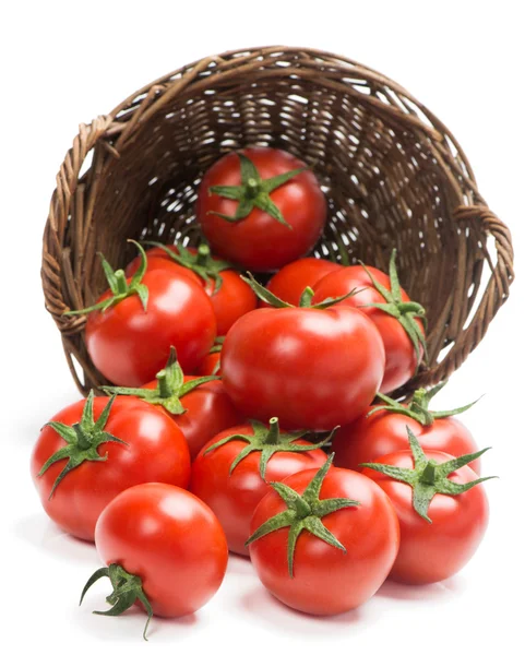 Tomatoes  in a basket is scattered — Stock Photo, Image