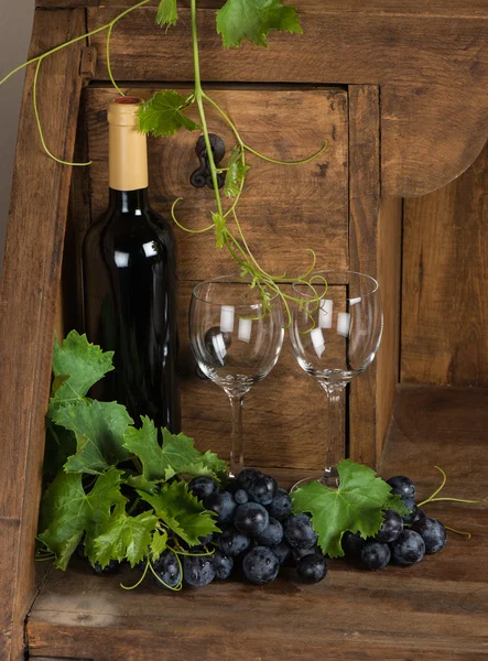 Flasche Rotwein mit Trauben — Stockfoto