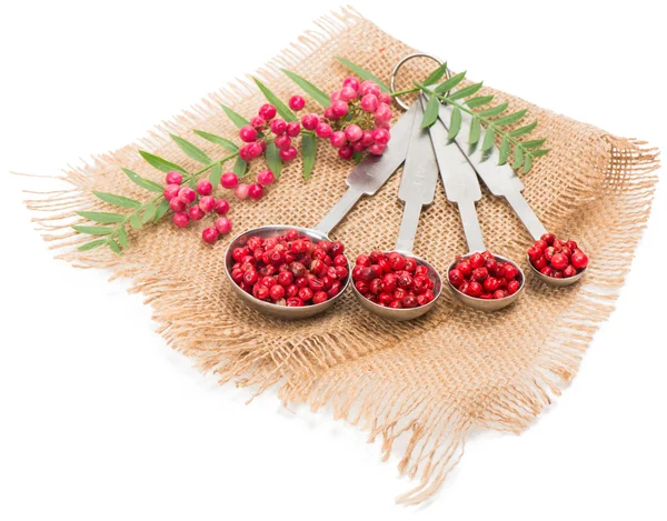 Pink pepper in different spoons over sacking — Stock Photo, Image