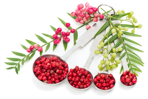 Pink Peppercorns, fresh and dry — Stock Photo, Image