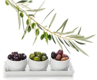 Beyaz kase ve dal Marine zeytin çeşitleri