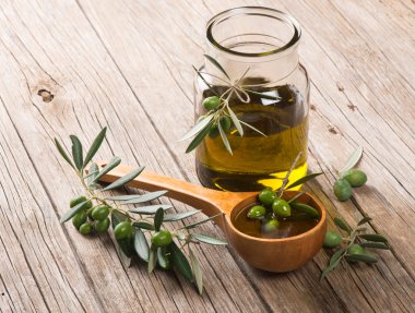 Zeytin ve zeytin yağı