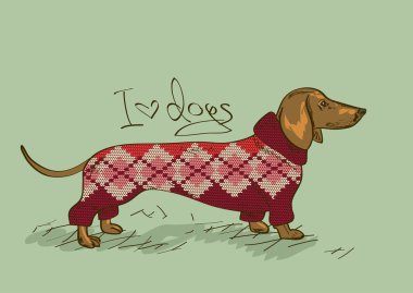 Illustration with Dachshund dog