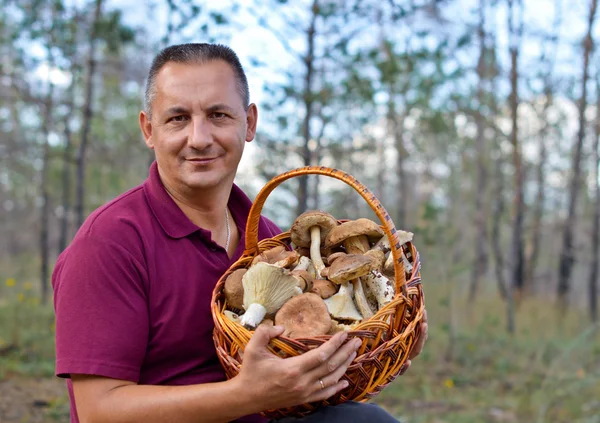 mantar bir sepet ormanda yalnız tutan adam