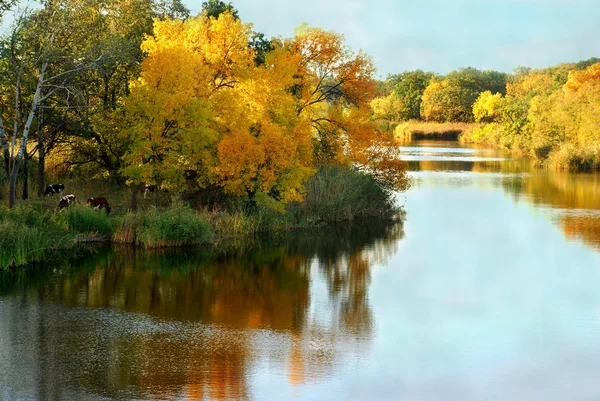 Autumn, landscape, near the river — Stock Photo, Image