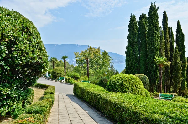 Livadia Park. Landscaping. Yalta. Crimea. Ukraine. — Stock Photo, Image