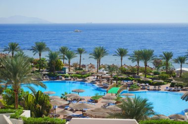 Mısır, Kızıldeniz. Bir Sharm el-sheikh.