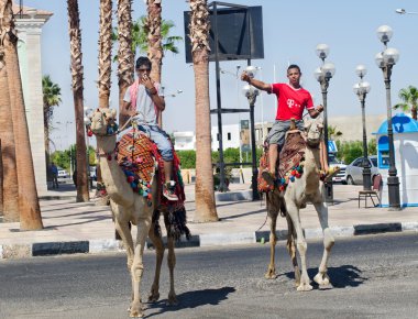Mısır. Sharm el sheikh. 2 gençler sokaklarda Develer üzerinde.