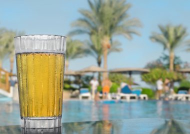 bir bardak soğuk bira fon ve palmiye ağaçlarının karşı masada. Mısır resort.