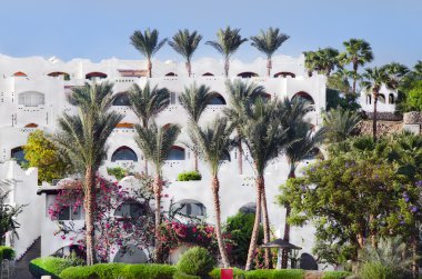 Egypt, exotic nature and architecture. Africa. Sinai