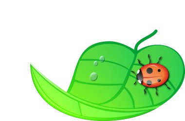 Yeşil yapraklı uğur böceği.