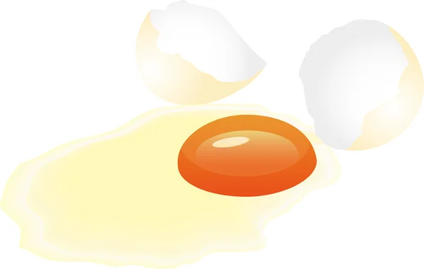 Broken egg. — Stock Vector