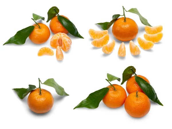 Tangerine fruits. — Stock Photo, Image