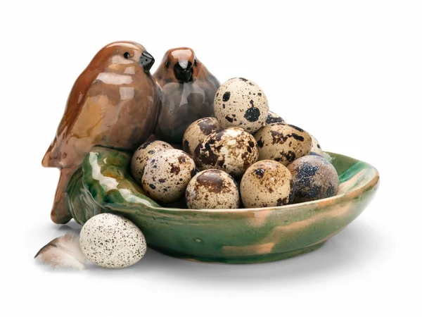 Quail eggs. — Stock Photo, Image