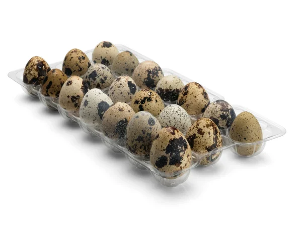 Quail eggs in packing. — Stock Photo, Image