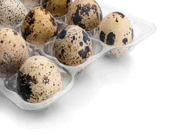 Quail eggs. — Stock Photo, Image
